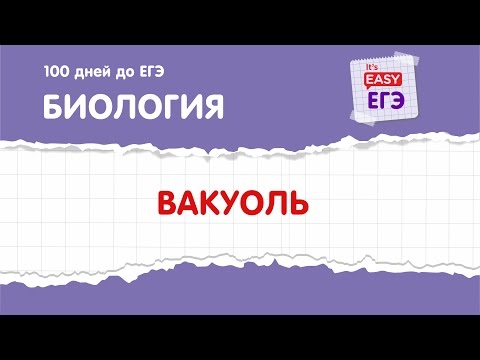 ЕГЭ по биологии. Вакуоль