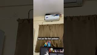Bagheera and the ac unit #weirdanimals #cute #funny