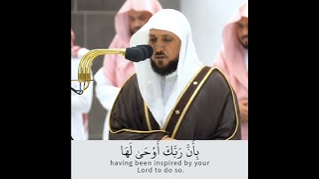 فضيلة الشيخ د. ماهر المعيقلي || وقال الإنسان ما لها || سورة الزلزلة