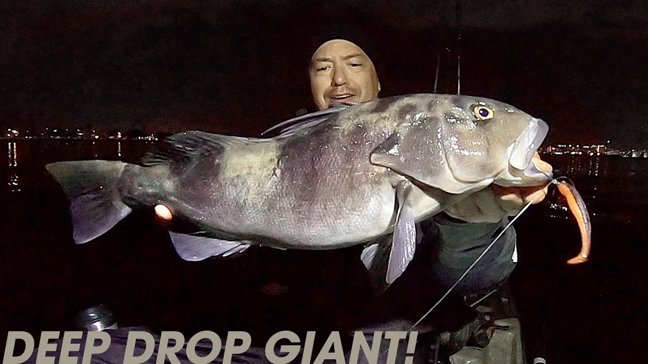 INSANE night bite!! | A Sand Bass Saga – Pt 3/3