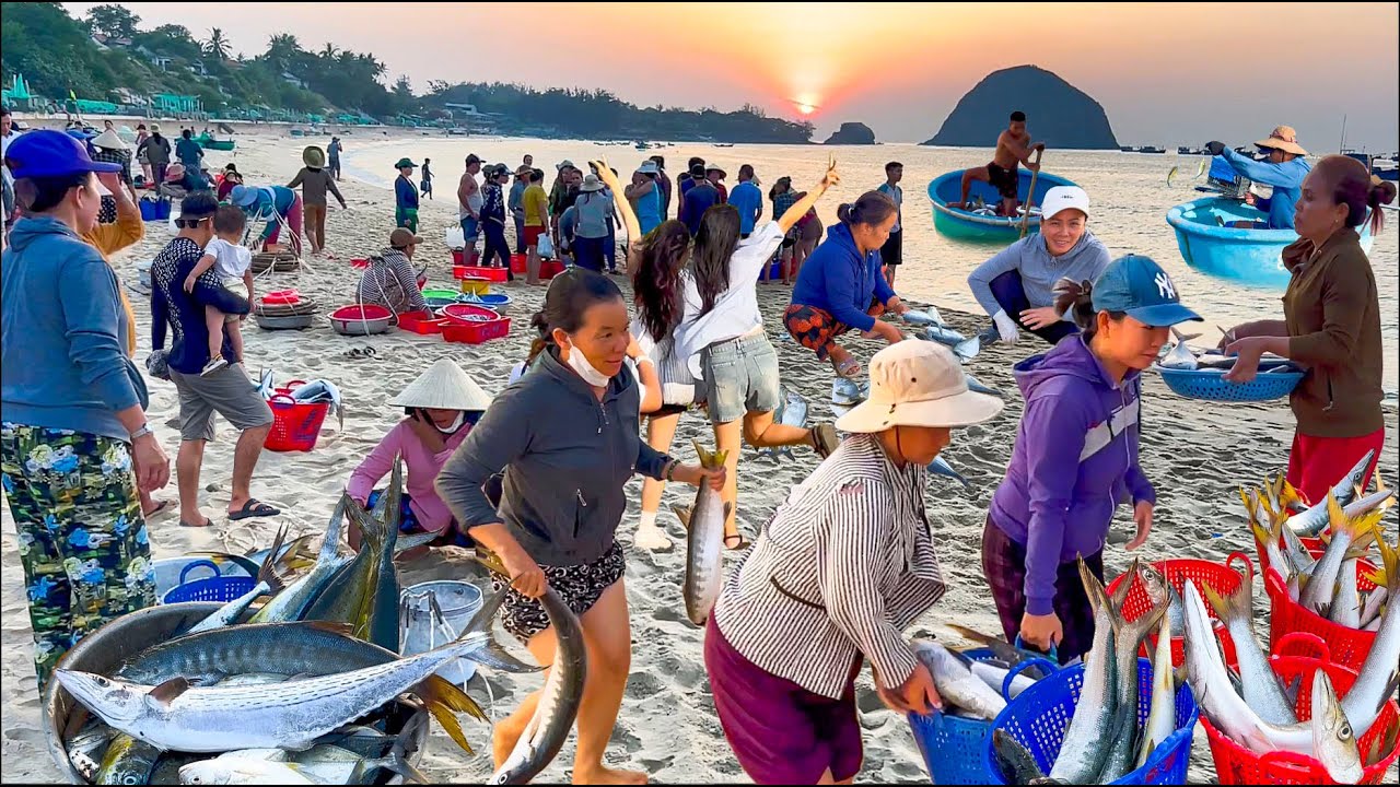 Ngư Dân Hòn Yến Phú Yên May Mắn Trúng Cá Nhồng║Chợ Quê Rẻ Nhất Phú Yên