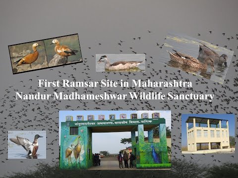 First Ramsar Site