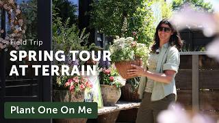 TERRAIN'S Plant Shop TOUR in Devon, PA — Ep. 443