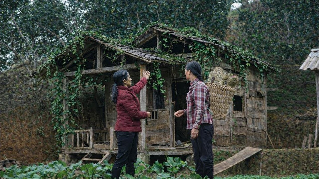 Full video: Kind woman gives an abandoned house to a homeless girl _ her life starts anew from zero.