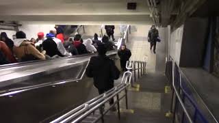 Download Lagu Love Takes Miles by Cameron Winter (God Is Real Edition by Arden Lloyd) MP3