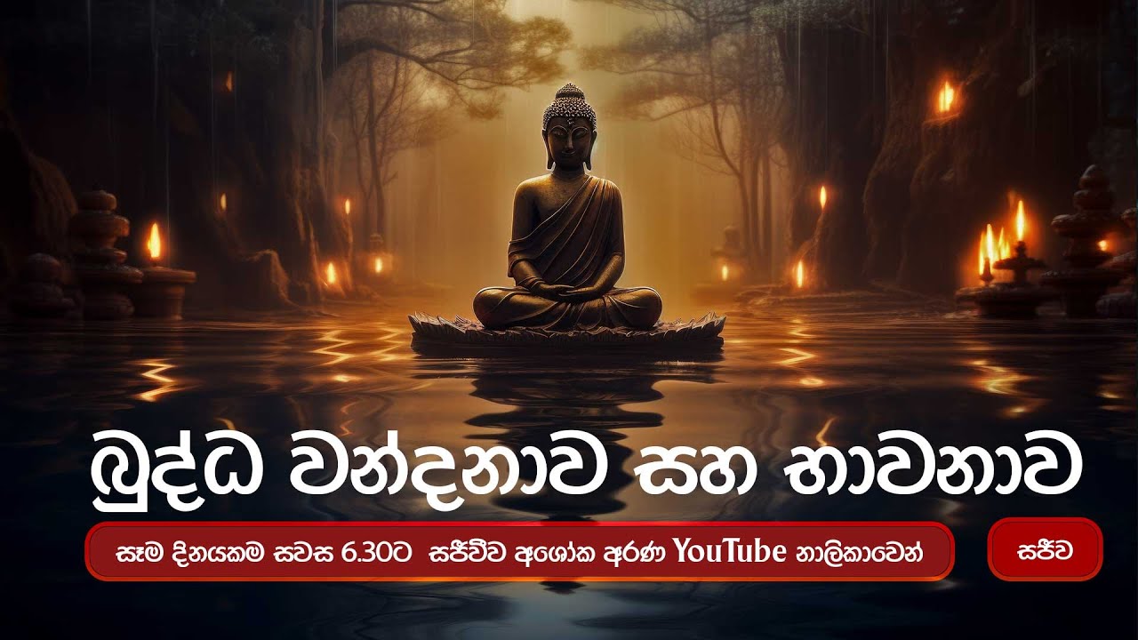 බුද්ධ වන්දනාව 2026 02 17 | #බේරුවල_රාහුල #අශෝක_අරණ #කුටියේ_පිංකම් | Beruwala Rahula Thero අශෝක අරණ