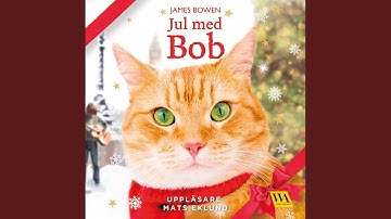Chapter 6.10 & Chapter 7.1 - Jul med Bob