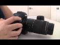 Canon EF 70-300mm f/4-5.6 IS USM Lens Review