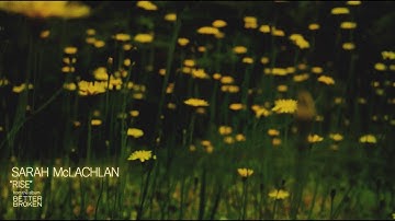 Sarah McLachlan - Rise (Official Visualizer)