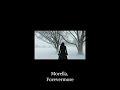 Morella (Lyrics) #darkwave #gothicrock #gothmusic #postpunk #darkalternative #indiegoth