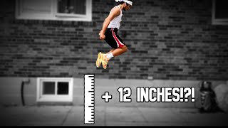 The Plyometrics Workout That Increased my VERT by 12 Inches | 5'7 Workout