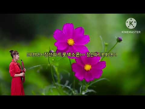 장선희색소폰~코스모스피어있는길 (<strong>김상희</strong>)