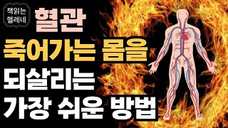 돈 들지 않고 집에서 이렇게 하면 막힌 혈관이 뚫립니다ㅣ혈액을 가장 빨리 깨끗하게 만드는 비결ㅣ나쁜 피가 내 몸을 망친다ㅣ오디오북ㅣ책읽어주는여자