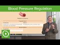 Blood Pressure Regulation