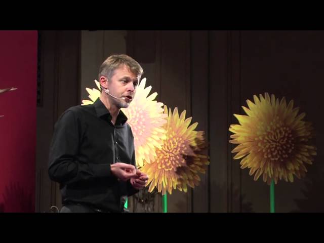 Effectuation. Elemente der unternehmerischen Methode: Michael Faschingbauer at TEDxSalzburg