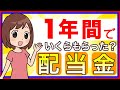 【作業員】1年間で不労所得(マネーマシン)配当金をいくらもらったのか?