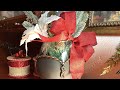 Nochebuenas en porcelana fría  | Fácil con la Abuela