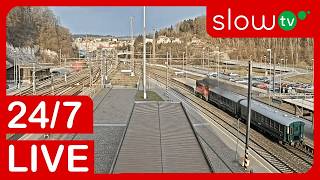 Live Trains at Ústí nad Orlicí Railway Station