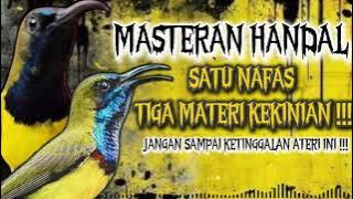 MASTERAN SOGON‼️ TERHANDAL SATU NAFAS TIGA MATERI KEKINIAN #sogon #sogongacor #sogokontong
