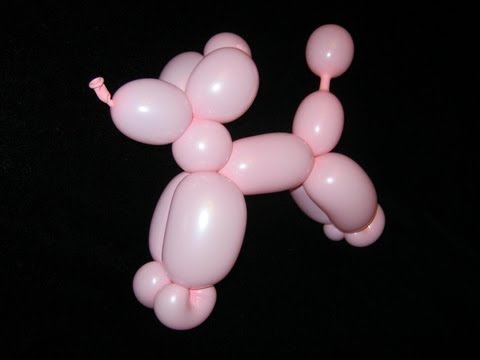 How to make a Balloon Poodle with one 260Q