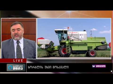 საქმიანი დილა 19 07 2016   ხორბლის დიდი მოსავალი