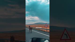 Kiziroğlu Mustafa Bey…Aşık Murat Çobanoğlu Ğa