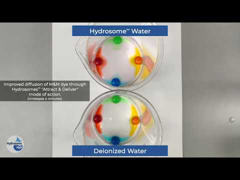 Hydrosomes in Action-Harnessing the power of Ultrafine Bubbles