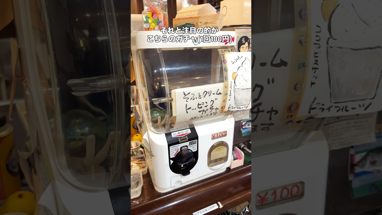 高知ランチ レストランサンヒルズのハンバーグと珍しいガチャガチャ!