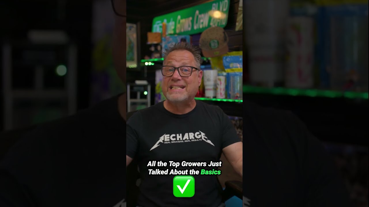 Growing Top Shelf Cannabis Dosent Have To Be Difficult 