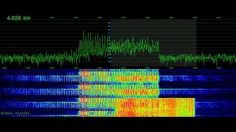 Russian Military Propagation Test Mixes With Buzzer 4626.5 & 6800.5 kHz | Signal Phantom