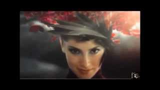 Edward Reekers (The Words To Say I Love You)