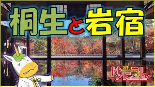 【雑談配信】週刊ゆにこん #90「紅葉を観に行こうよー！」【Vtuber / #ゆにこん 】