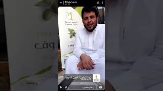 المليون شجرة لزيت زيتون الجوف زيت زيتون طبيعي ١٠٠ ٪؜ من افضل زيت الزيتون