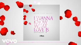 Video thumbnail of "Anthony B - I Wanna Know What Love Is (Official Audio)"