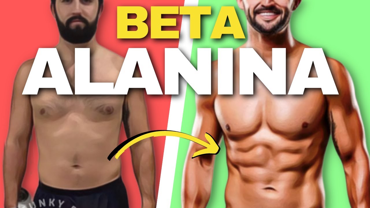 Cosa fa la Beta-ALANINA? Guida completa