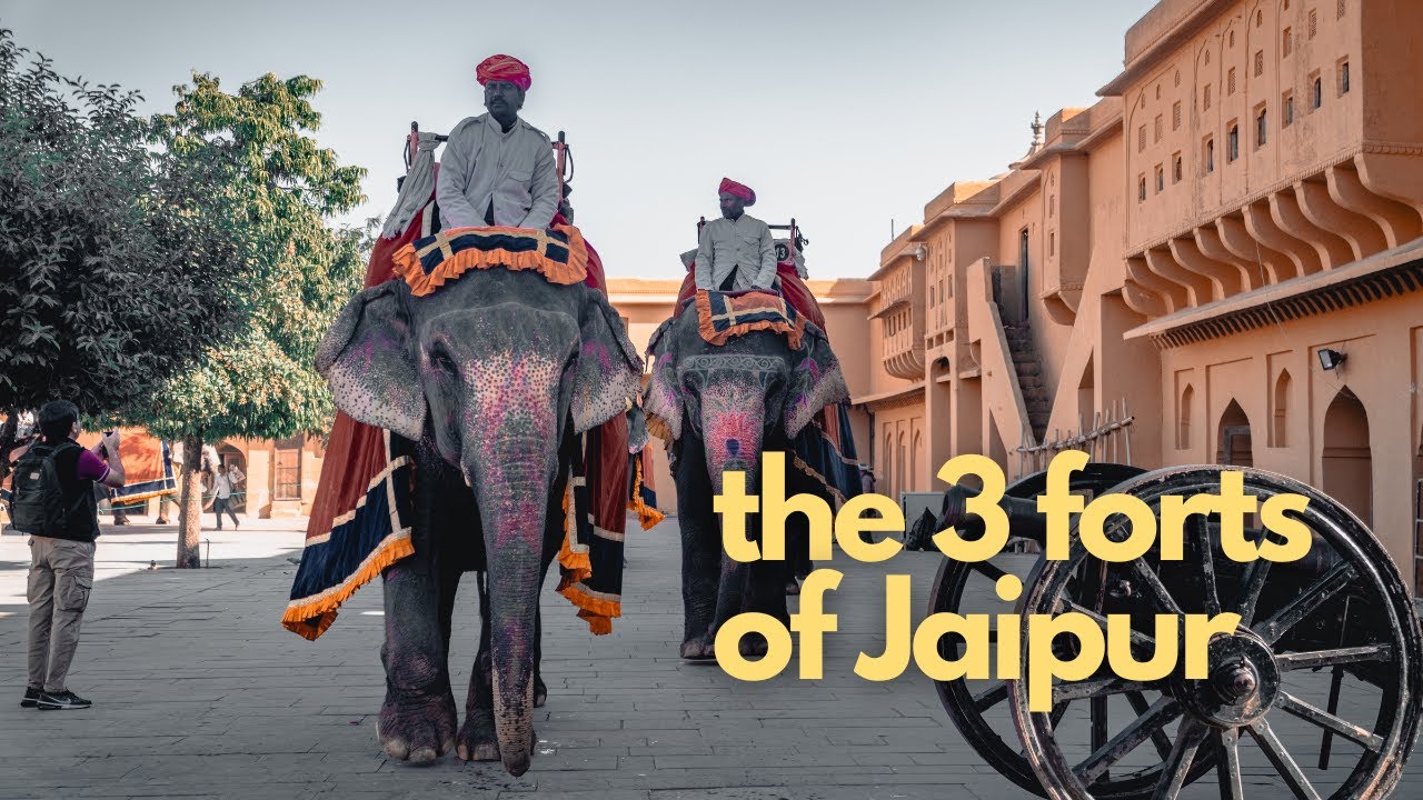 My last and best day in Jaipur | Amer, Jaigarh & Nahagarh Forts
