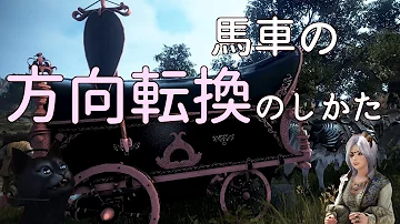 珊瑚の欠片 黒い砂漠 珊瑚の欠片 黒い砂漠