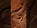THE BULLION STONE #history #ancienthistory #archaeology #scottishhistory #picts #scotland