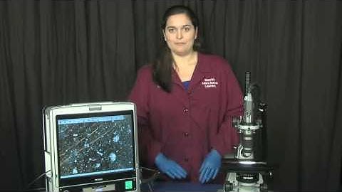 The Electron Microscope in Failure Analysis