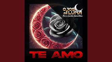 Te Amo