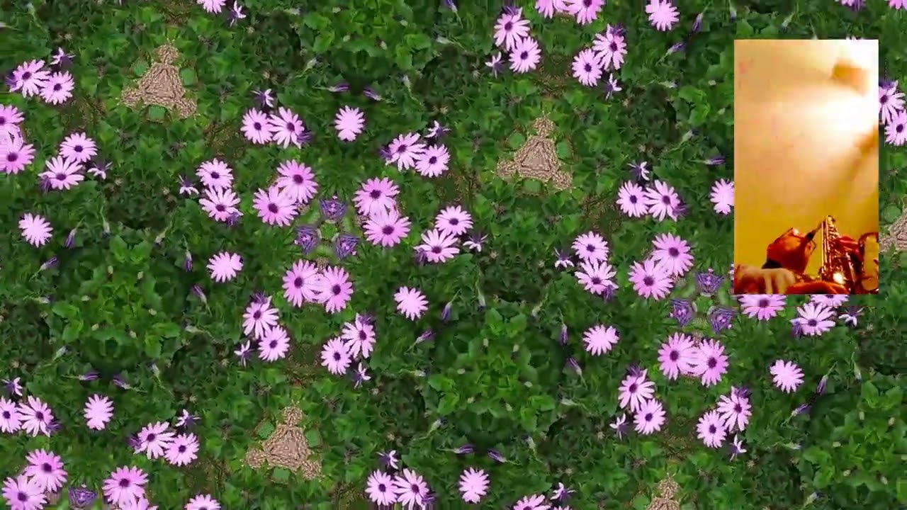 WVN Creative  Workshop FILM & POETRY - "An Eco Poem for Turning Point"