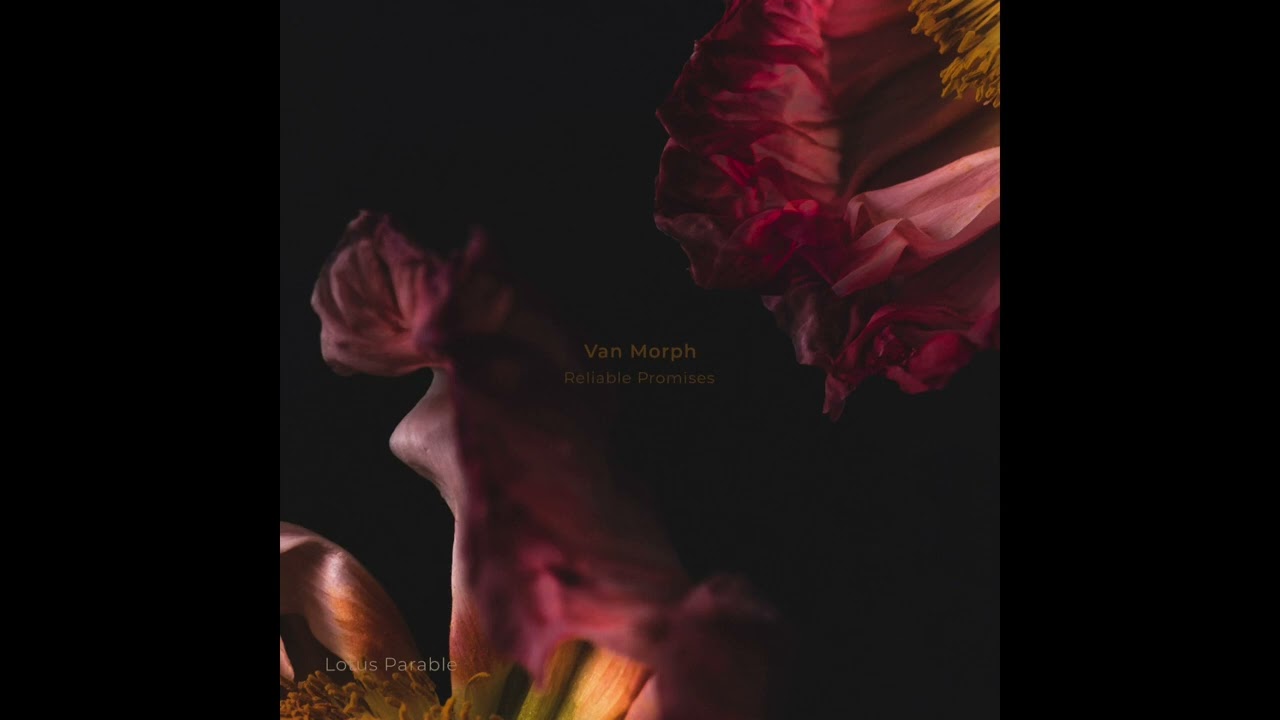 Indefinite Pitch PREMIERES. Van Morph - Forerunner [Lotus Parable]