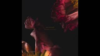 Indefinite Pitch PREMIERES. Van Morph - Forerunner [Lotus Parable]
