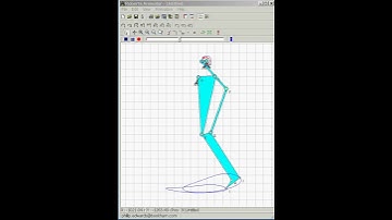 Rickshaw Man Leg Movement