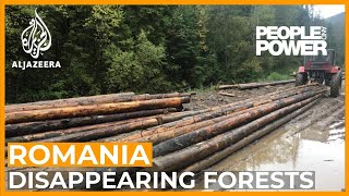 Romania: Rape of the Forest | People and Power