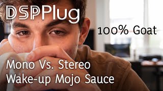 [DSPplug] Mono Vs Stereo