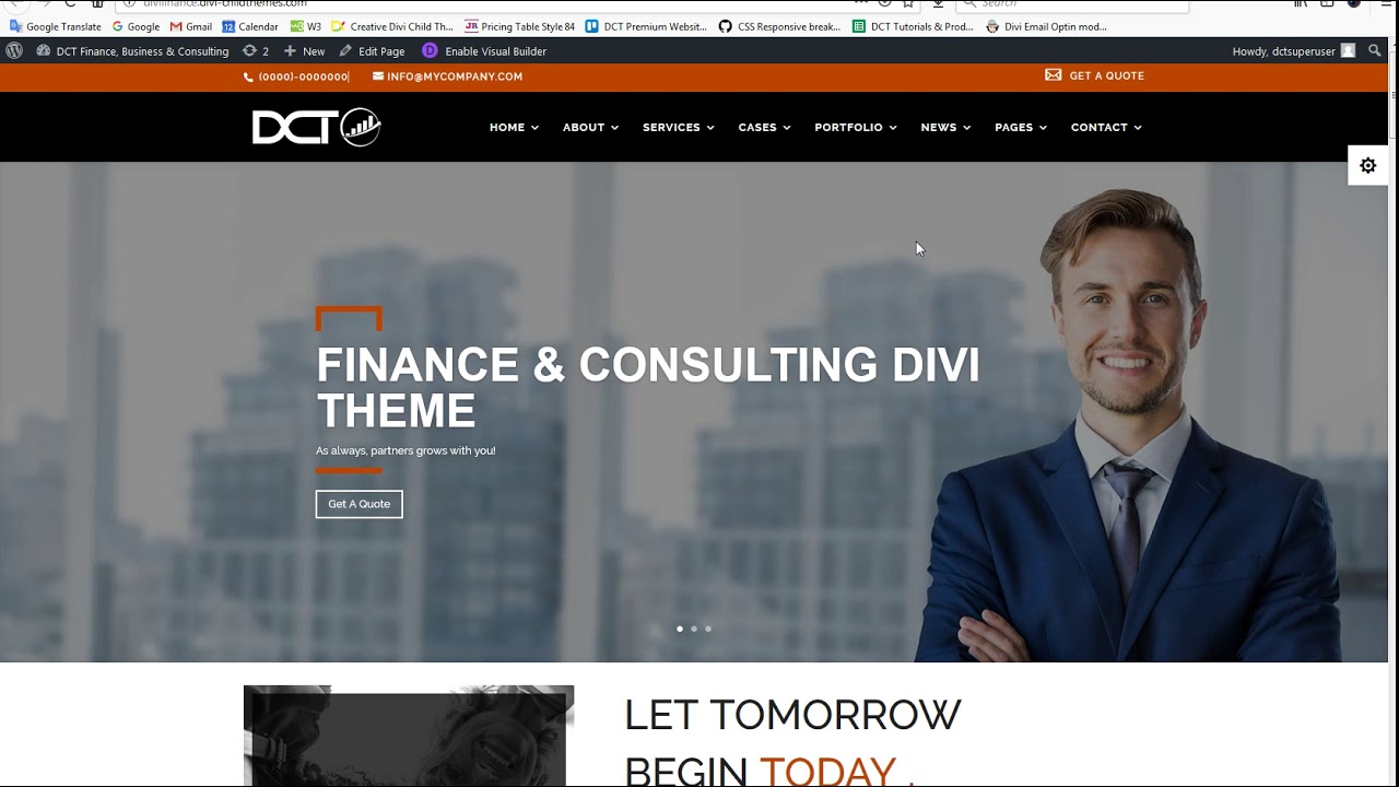 Divi Finance Theme General Settings