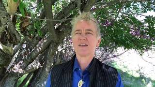 Linda Stonestreet - Volunteer for Love #V4L