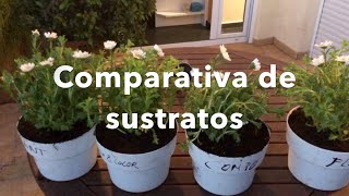 Comparativa de sustratos. La importancia de usar sustratos de calidad.