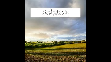 تلاوة هادئة القارئ عبد الرحمن مسعد | مَنْ عَمِلَ صَالِحًا مِنْ ذَكَرٍ أَوْ أُنْثَىٰ وَهُوَ مُؤْمِنٌ